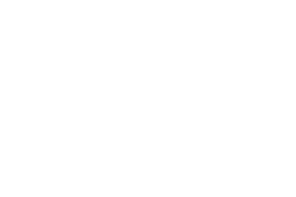 Wanderer